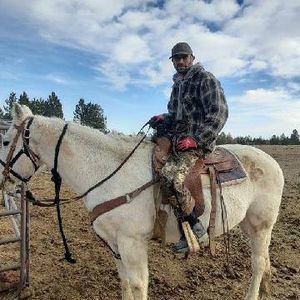 Meet your Posher, Joe